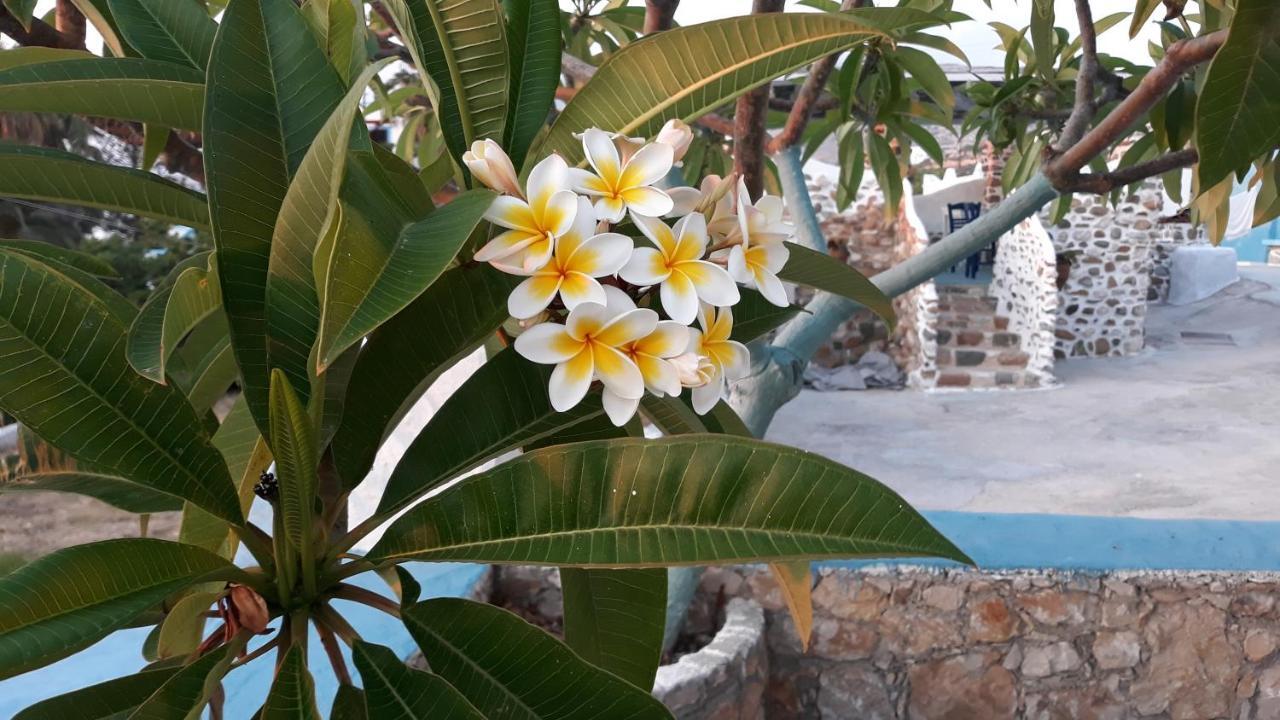 Sunset Suites 'Annada Arkasa Exterior foto